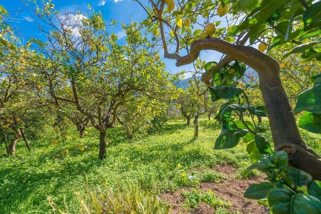 סולר Villa Frontera מראה חיצוני תמונה